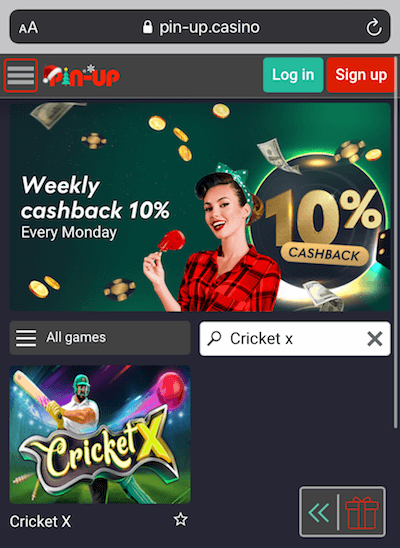Pin Up Casino Cricket X in search